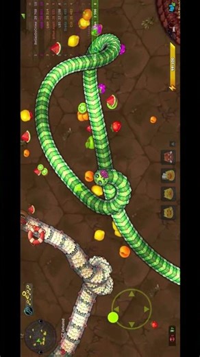 little Big Snake Tips To Capture Big Giant Snake #littlebigsnaketipsandtricks