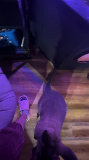 Edwards Farm (@edwardsfarm2003)’s videos with Beautiful Memories - Lux-Inspira