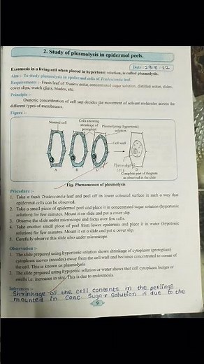 practical book solution class 12th # Biology # Experiment no 2 nd