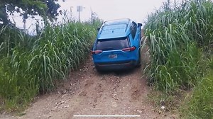 Compelling Reasons to Consider a 2019 Toyota RAV4 with All-Wheel Drive