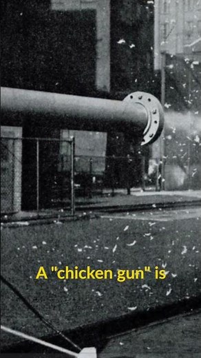 Have you seen the AIRPLANE CHICKEN GUN??? #shorts