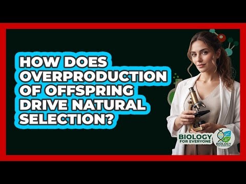 How Does Overproduction Of Offspring Drive Natural Selection?