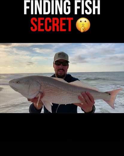 Mastering Surf Fishing Techniques for Successful Catches