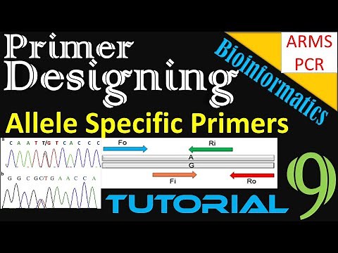 Primer Designing | Allele (SNP) Specific Primers Using BatchPrimer3 || ARMS PCR || Tutorial 9