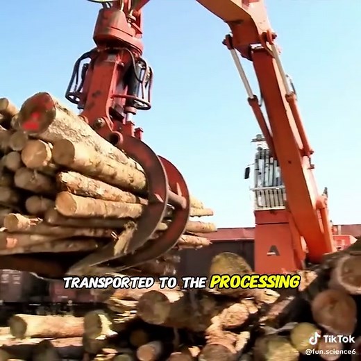 Understanding How Paper is Made: A Simple Guide