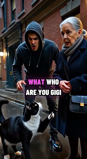 One Cat, One USB, Zero Time to Escape!