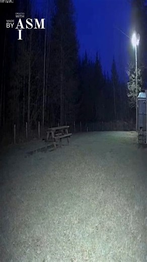 Alien caught on camera | The Viral Life | Facebook