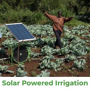 Keep your farm growing all year with solar powered irrigation using the Futurepump SF1!  Pumps up to 2,000L/hr  Irrigates up to 2 acres ☀️ For shallow water sources up to 6m deep Get the Futurepump SF1 with the pump, 80W panel, 6m high-quality suction hose, installation and 2-year warranty for MT 50,778 Contact us for more details | Futurepump Ltd | Facebook