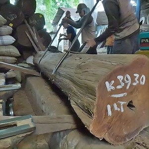 very amazing processing large wood | Sawmill & Woodworking