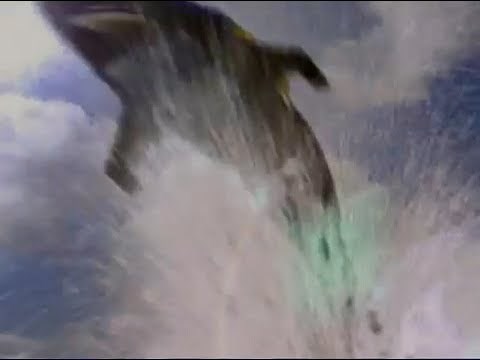 Power Rangers Wild Force The Rangers Summon The Wild Zords