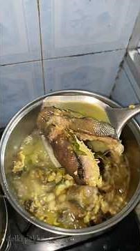 Cook python meat in yellow sauce #adventure #snake