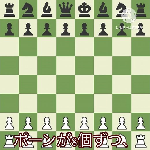 #チェス 猿でもわかるように置き方を解説