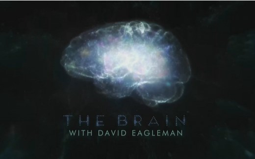 纪录片.PBS.深入大脑.The.Brain.with.David.Eagleman.2015.片头[双字]