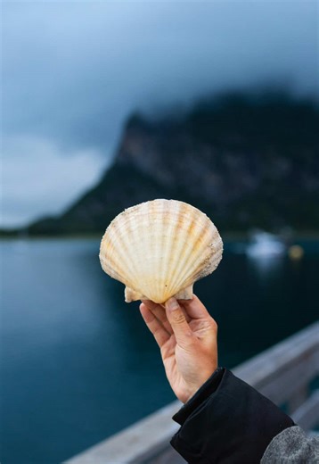 Discover H2O: Mermaid Magic for Kids