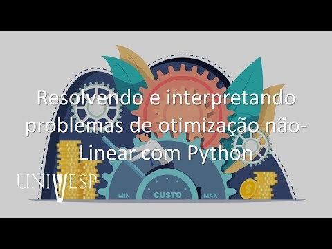 Operational Research I - Solving and interpreting non-linear optimization problems with Python