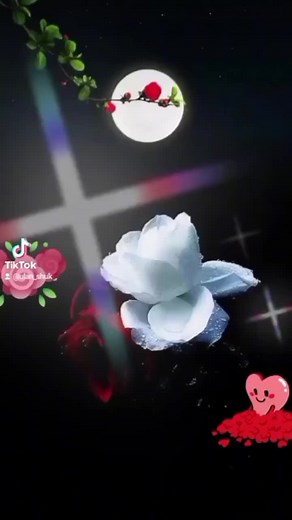 Animated Floral and Dove Scenes with Heart Character