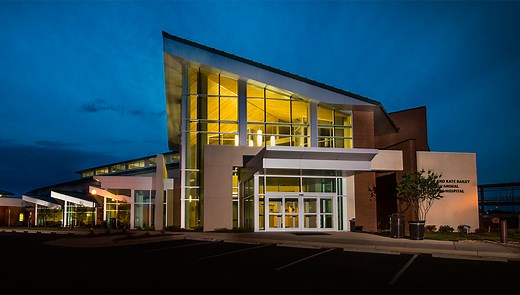 About the College | Auburn University College of Veterinary Medicine