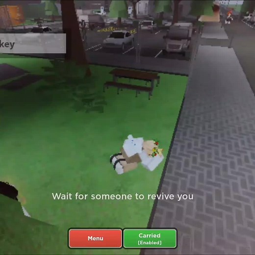 Roblox Evade Home Script Partnership