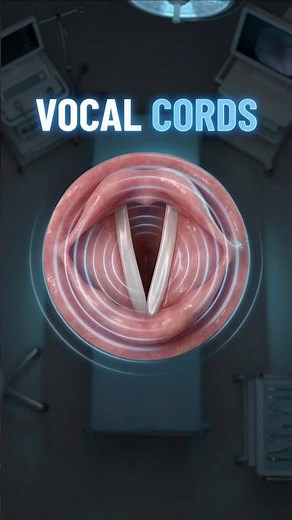 What Your Voice Actually Looks Like 🗣️ (Larynx)