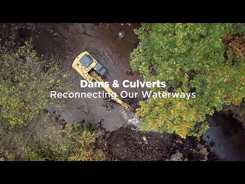 Dams & Culverts: Reconnecting Our Waterways