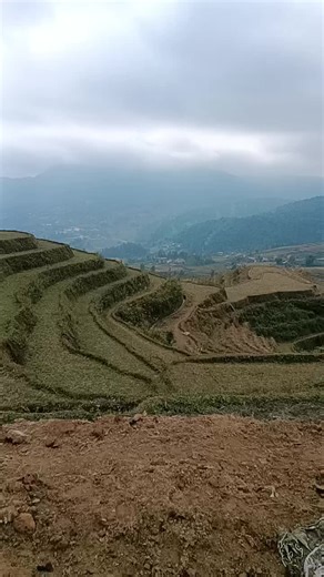 Video của Mẩy linh (@l.my.linh) với bản nhạc nhạc nền - Mẩy linh