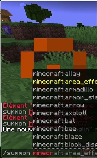 Faire spawn un cochon dans minecraft