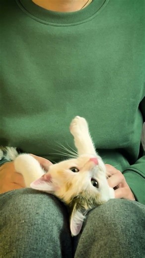 Deep Slow Purr Vibes 😌