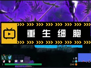 死亡细胞/重生细胞v35.8 全DLC MOD XG器 PC 安卓 苹果（Dead Cells）免安装中文版