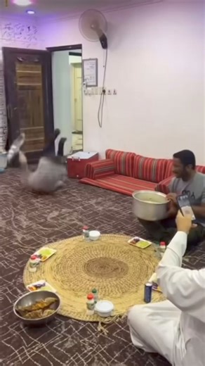 22K views · 122 reactions | ❤️❤️❤️❤️ ⁣.⁣.⁣.⁣.⁣.⁣#beautydreadlocks...