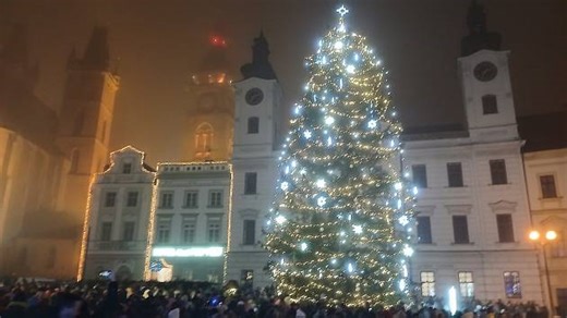 Vánoční strom se v Hradci Králové rozsvítí na konci listopadu. Začnou i trhy