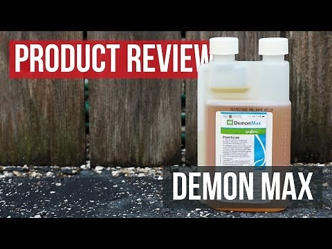 Demon Max: Product Review