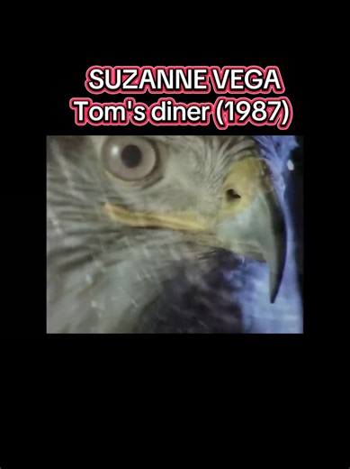 Tom's Diner : L'Histoire de la Chanson de Suzanne Vega