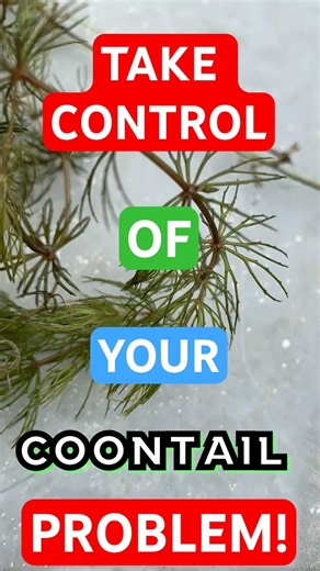 The Killer Coontail Cocktail: Take Back Control Of Your Pond!
