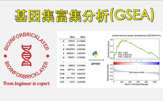 【生信进阶之路｜技能篇 06】如何用 python 进行基因集富集分析