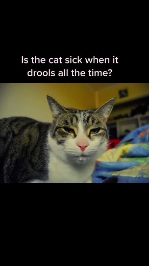 PANGZUOMEI on TikTok