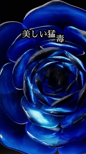 万能薬として社会が熱狂した未知の物質「ラジウム」の恐るべき正体 #科学ミステリー #キュリー夫人 #未解決事件