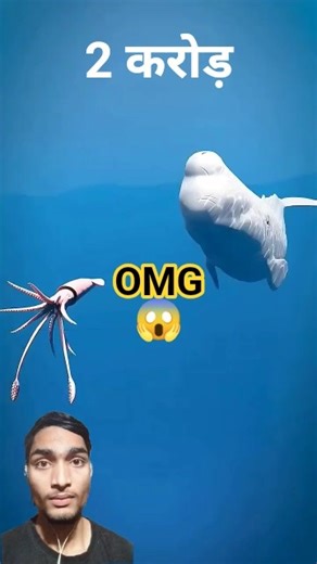 Whale Vomit Is Worth Millions 😱🧟‍♂️| #shorts #greenscreen #facts #dolphin #omg #viral #shortsfeed