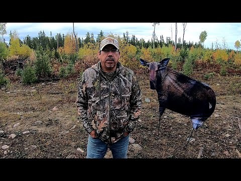 moose hunting tips & tricks