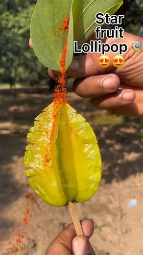 Jungle Platters on Instagram: "🥳🔥Starfruit Candy Pop | The Jungle's Tropical Crystal Bite🔥🥳 . . Bringing you a shiny tropical jungle treat today! 🌿✨ Presenting Starfruit Candy Pop | The Jungle’s Tropical Crystal Bite 🍃🍬 Glossy… tangy… sweet… and sparkling like crystal! 😍🍭 Pure jungle vibes in every bite! 🌟💚 Watch till the end and feel the satisfying crunch and juicy burst of this starfruit candy pop! 🤤✨ If you love nature treats, glossy candy, and unique jungle-style food videos, thi