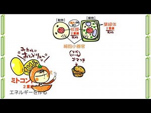 Biology Chapter 1, Episode 2: "Cells and Small Organs" by WEB Yujuku