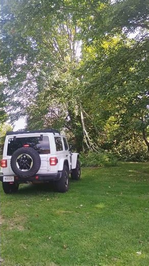 Using the Jeep Rubicon JL winch to pull broken branches out of the sugar maple