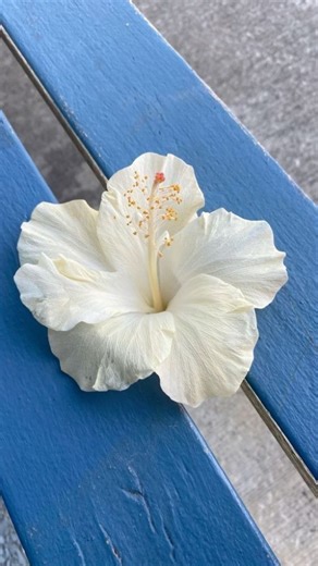 ℛ𝓊𝒽 𖹭 on Instagram: "(Be the soft echo of kindness in a loud world.) . . Follow for more @little.ruh . . . #fyp #instagood #explorepage #islam #foryou #reminders #viral #deen #explore #viralreels"