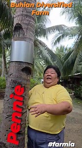 A generation tree #farmia @highlight | Pennie A. Buhian