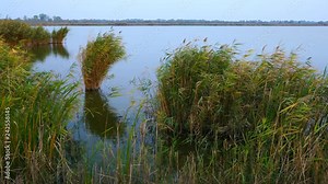 Danube Delta, Second largest river delta in Europe., Romania, Europe