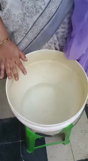 Washing Traditional Purple Saree in Domestic Setting