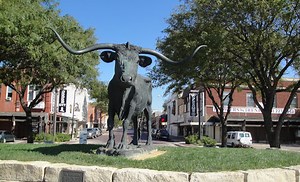 The History and Founding of Broce Broom