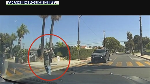 Shovel-wielding man in Anaheim shot, killed by police