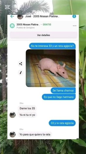 #meme #humor #comedy #memesdaily #music #remix #love #song