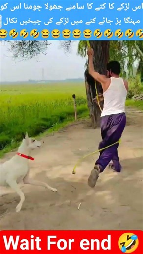 The dog left the boy thinking 😂🤣 #trending #funny #comedy #viral #shorts
