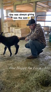 689K views · 37K reactions | Miss Amari loved showing daddy her kicks. 藍 #reels #fbreels #onehappyassfarm #farmlife #amari #donkey #farmanimals | One Happy Ass Farm | Facebook